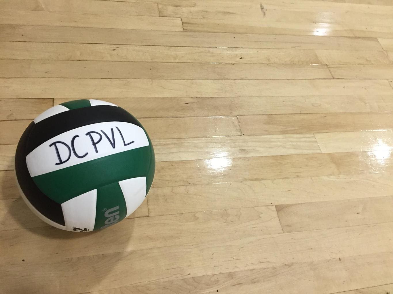 DC Pride Volleyball