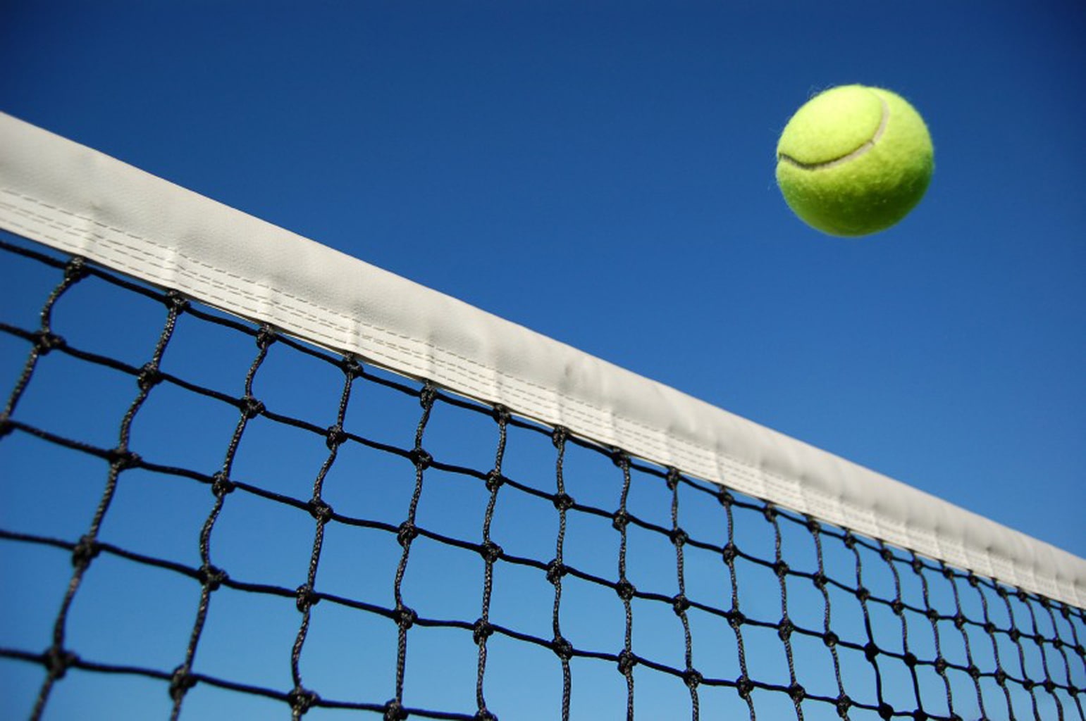 Tennis ball crossing net