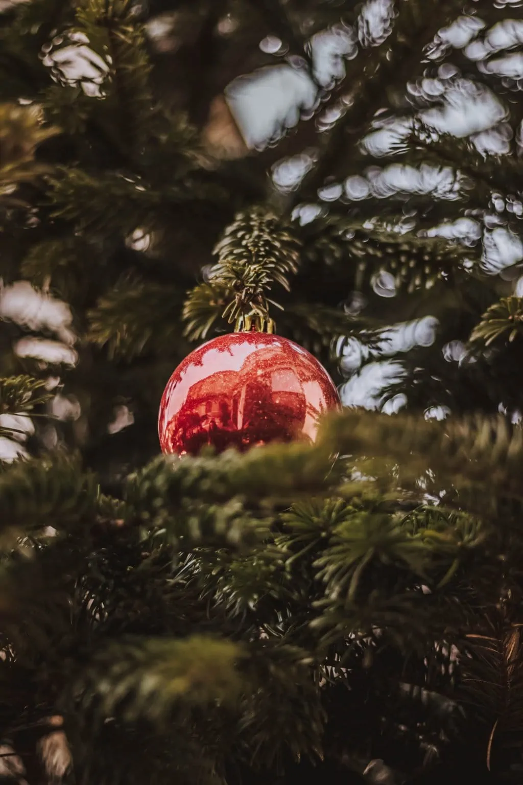 Ornament in a tree